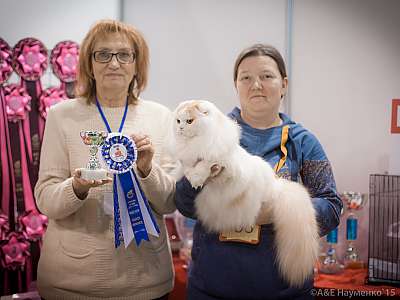 �������� ����� 31 ������ - 1 ������� 2015, ������������ ��� 1-66 IMG_5048.jpg